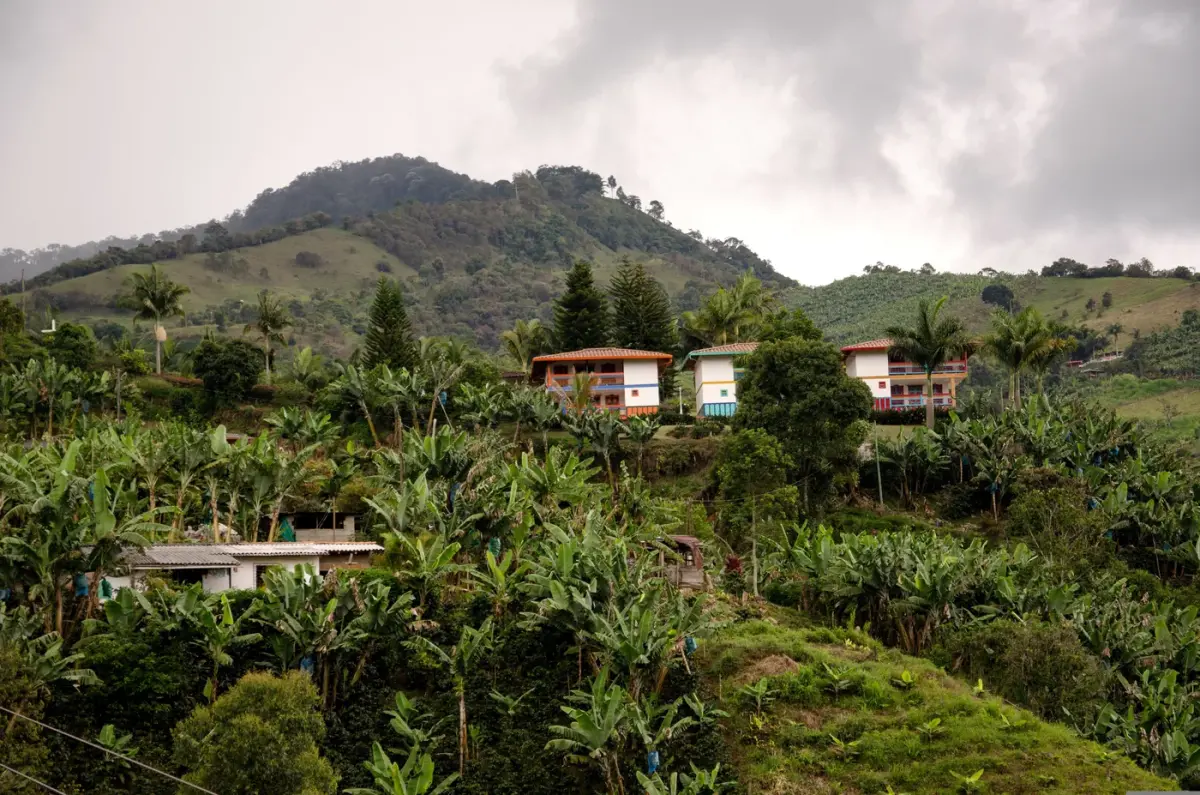 Paisaje cafetero de montaña en Nariño, con cultivos y vivienda rural.